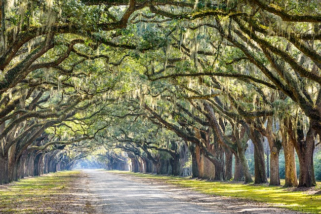 savannah georgia workers compensation lawyer