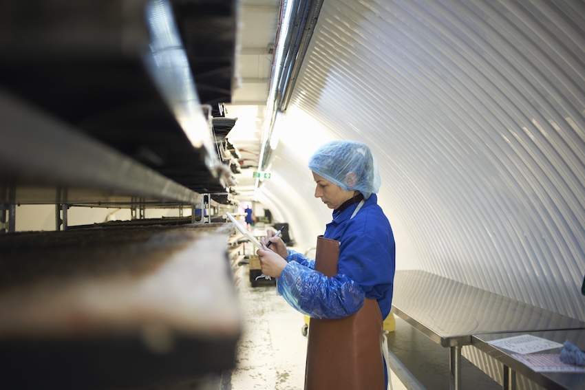 Worker in protective gear operating a conveyor line inside a poultry processing plant in South Georgia