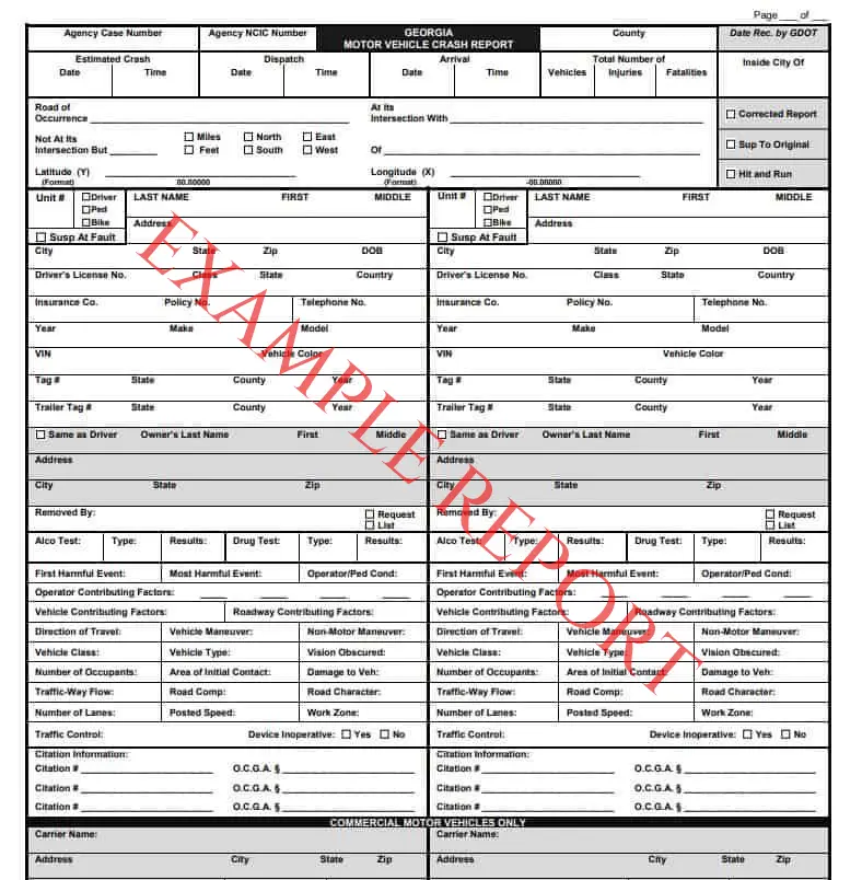 Georgia Police Report